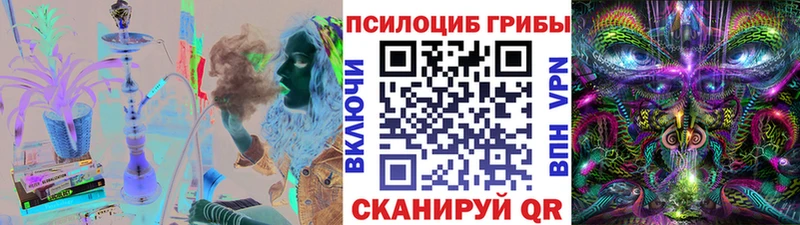 Псилоцибиновые грибы GOLDEN TEACHER  mega маркетплейс  Алейск  где купить наркоту 